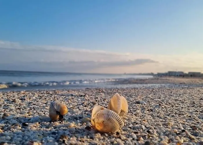 Amelia & Nicole Close To The Năvodari